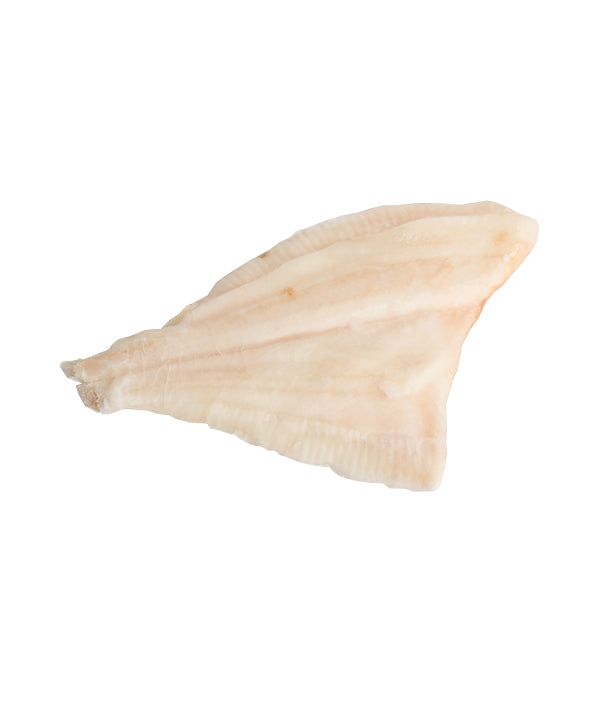 PLATESSA FILETTO N°2 CON PELLE IQF B-DEKKER g 4000