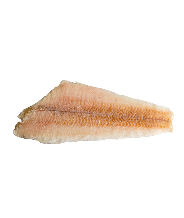FILETTI DI HALIBUT SENZA PELLE g 200/400 INDIVIDUALMENTE SURGELATI kg 5