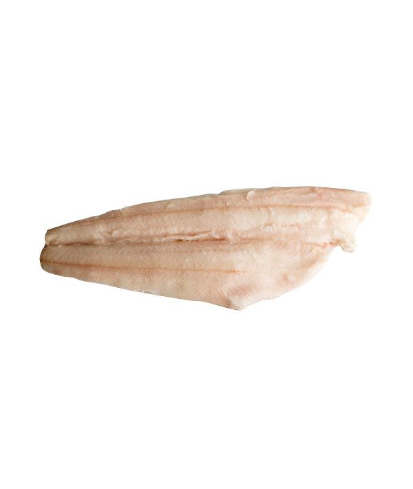FILETTI DI HALIBUT SENZA PELLE g 200/400 INDIVIDUALMENTE SURGELATI kg 5