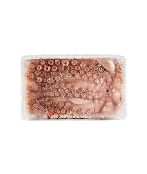 POLPO N°2 FAO 34 EVISCERATO g 1500/2000 VASCHETTA kg 1.8