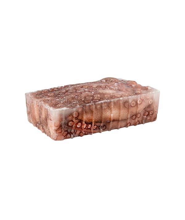 POLPO N°2 FAO 34 EVISCERATO g 1500/2000 VASCHETTA kg 1.8