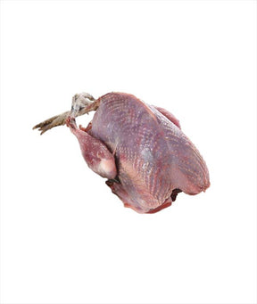 PERNICE ROSSA BUSTO GR 320 PZ 10