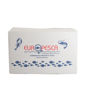 TARTARE DI SALMONE CONGELATO g 50