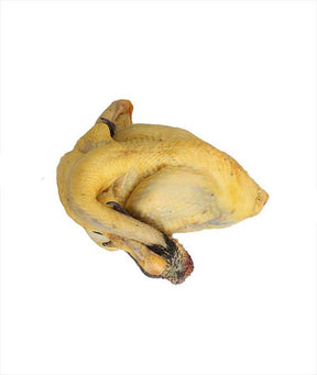 TACCHINA NOSTRANA CON TESTA E ZAMPE CONGELATA KG 3
