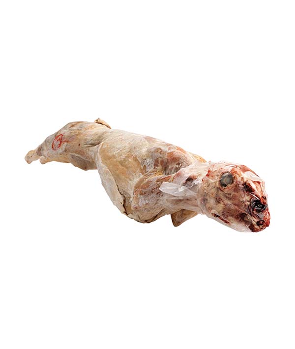 AGNELLO INTERO CON TESTA SARDO IGP CONGELATO KG 6/8