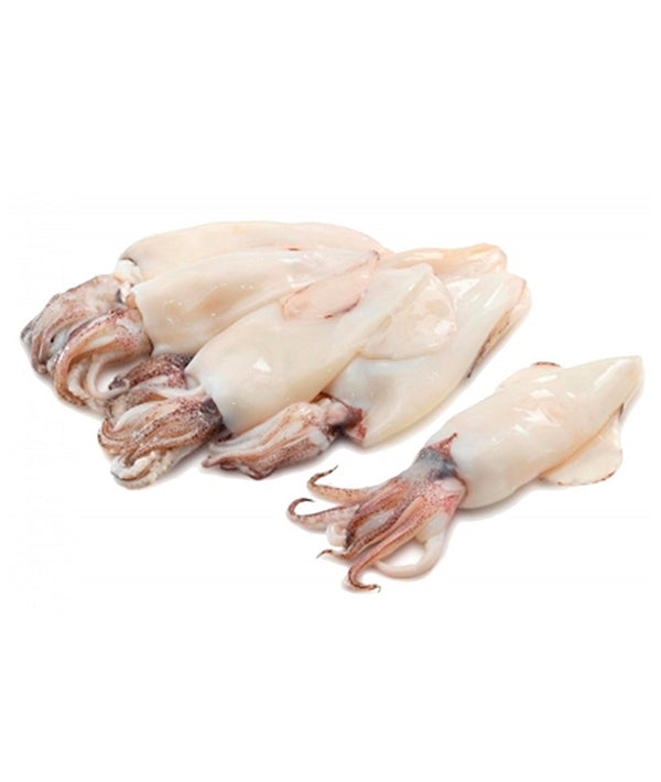 CALAMARO PATAGONIA PULITO C4 SENZA PELLE g 900