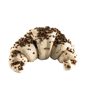 GRAN CORNETTO CURVO CON LIEVITO MADRE NOCCIOLA GR 97
CUPIELLO PZ 48