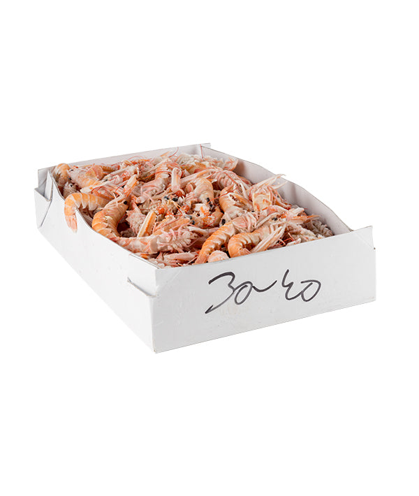 SCAMPO INTERO  IRLANDA 31/40 PZ/KG LABADIE CONGELATO A BORDO  
SOFRIMAR KG 3