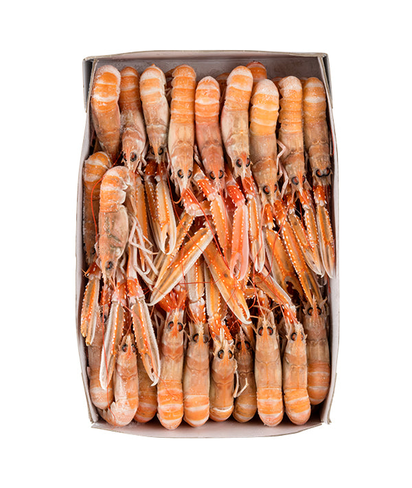 SCAMPO INTERO 11/15 PZ/KG LABADIE BORDO SOFRIMAR KG 3