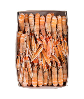 SCAMPO INTERO 11/15 PZ/KG LABADIE BORDO SOFRIMAR KG 3