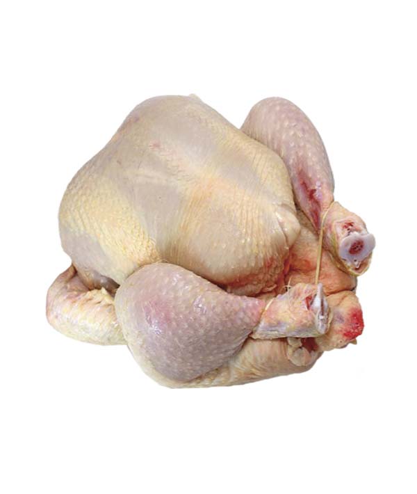 GALLINA BUSTO PESANTE CONGELATO KG 3,0