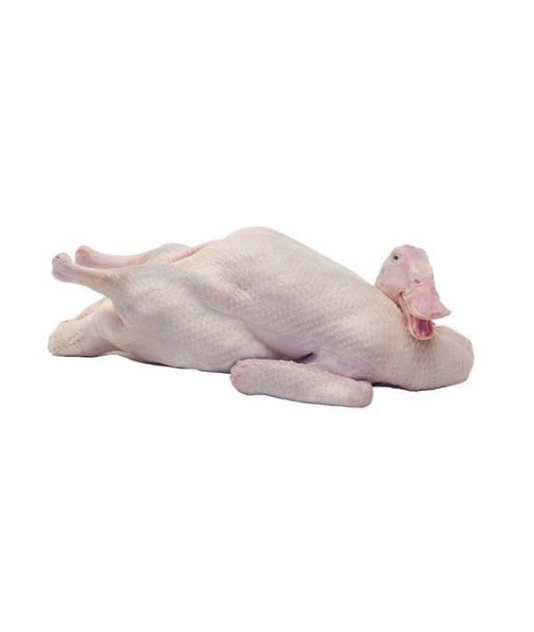 OCA NOSTRANA CON TESTA SENZA ZAMPE KG 4,4