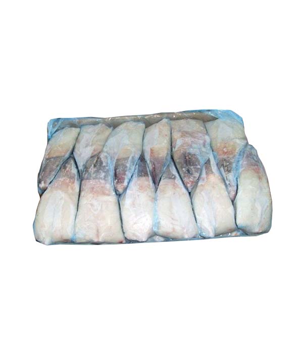 CODA DI ROSPO S ZAF CON PELLE BORDO GR 150/300 IWP KG 14