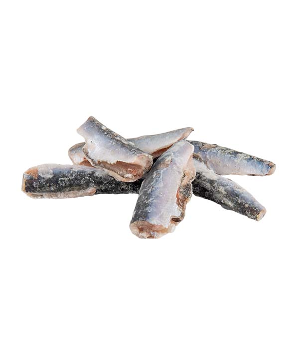 FILETTI DI SARDINA  FAO37 IQF KG 5,4