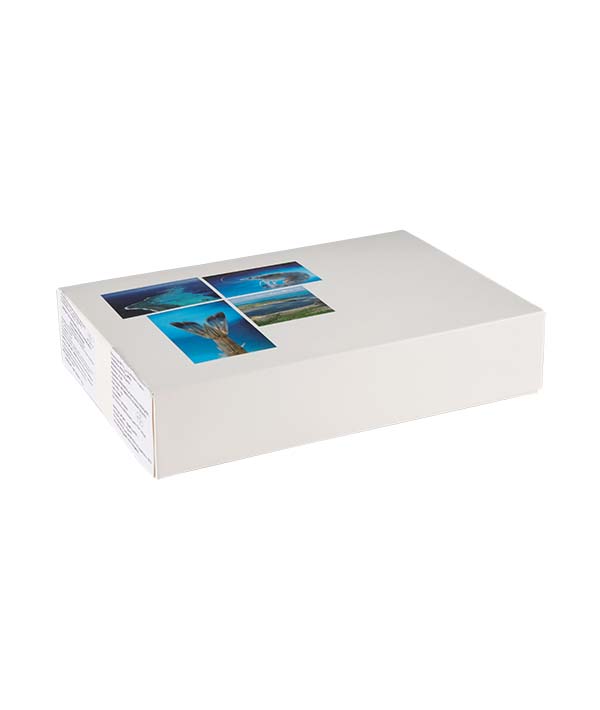 MAZZANCOLLA INTERA BLU PACIFICO NUOVA CALEDONIA PZ 21/25 KG 1