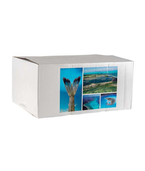 MAZZANCOLLA INTERA BLU PACIFICO NUOVA CALEDONIA PZ 21/25 KG 1