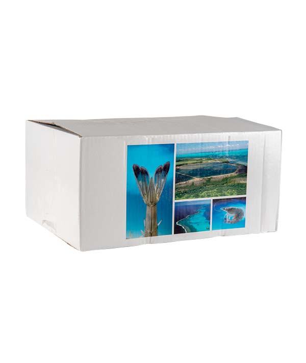 MAZZANCOLLA INTERA BLU PACIFICO NUOVA CALEDONIA PZ 21/25 KG 1