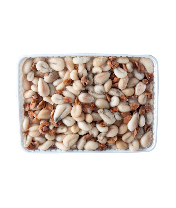 UOVA DI SEPPIA SENEGAL FAO 34 AFRICACOLD KG 7,2