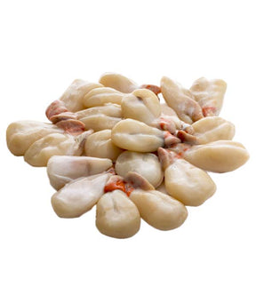 UOVA DI SEPPIA SENEGAL FAO 34 AFRICACOLD KG 7,2