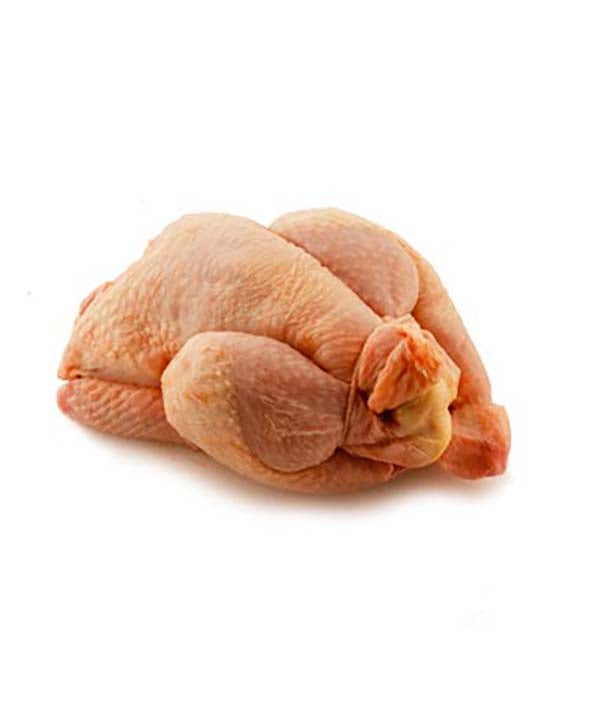 GALLETTO EVISCERATO CAT. B 600/750g VALLESPLUGA PZ 14