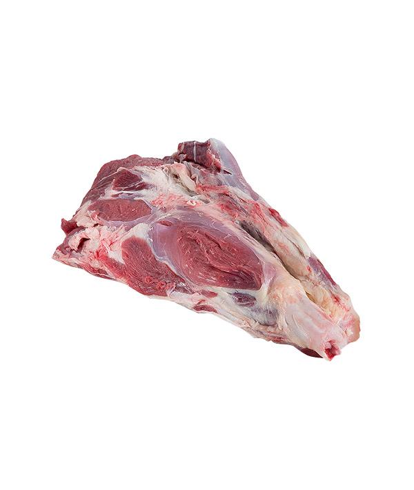 MUSCOLO ANTERIORE KG 2+ SCOTTONA BRASLAVIA VALDORA