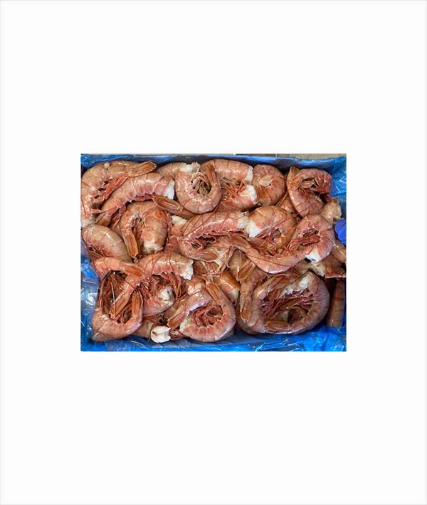 GAMBERO CODA ARGENTINA C2 CONGELATO A BORDO KG 2