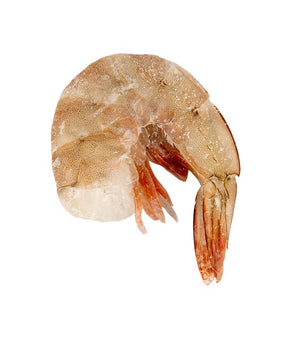 MAZZANCOLLA TROPICALE CODA 26/30/L BLUE VESSEL KG 2