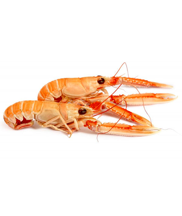 SCAMPO INTERO 20/30 PEZZI/KG PORCUPINE CONGELATO A BORDO SOFRIMAR KG 3