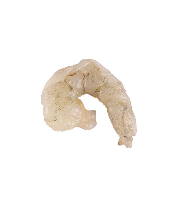 MAZZANCOLLA TROPICALE SENZA GUSCIO 36/40/L BLUE VESSEL KG 1