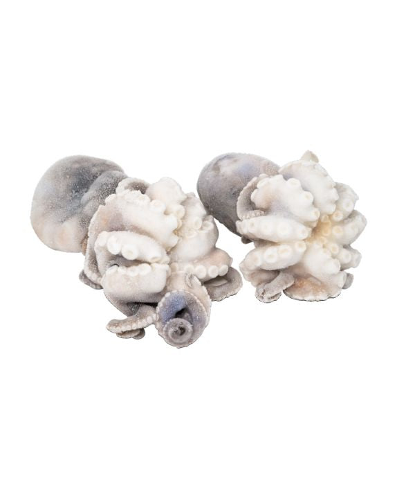 MOSCARDINO M PIENO SFUSO PZ 8/12 GR 150/200 DYP KG 2