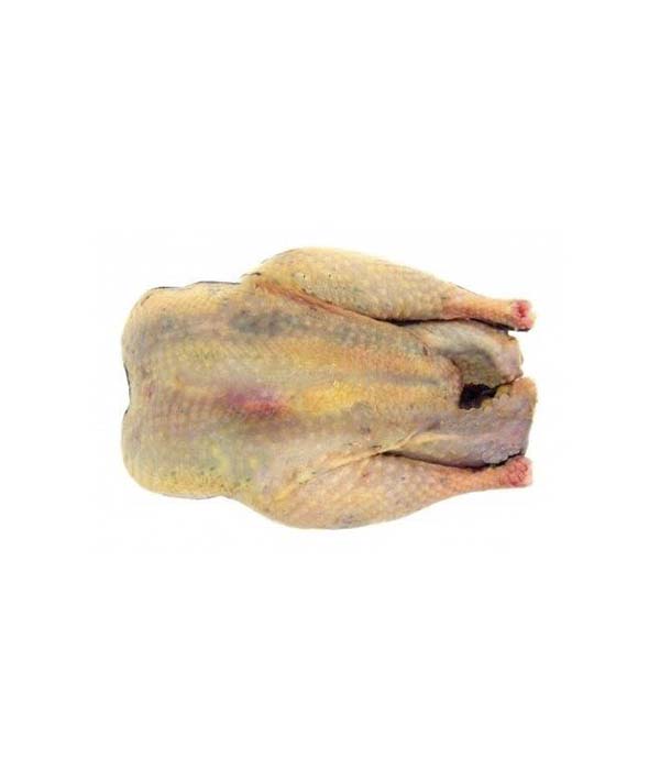 FAGIANO A BUSTO CACCIATO KG 1