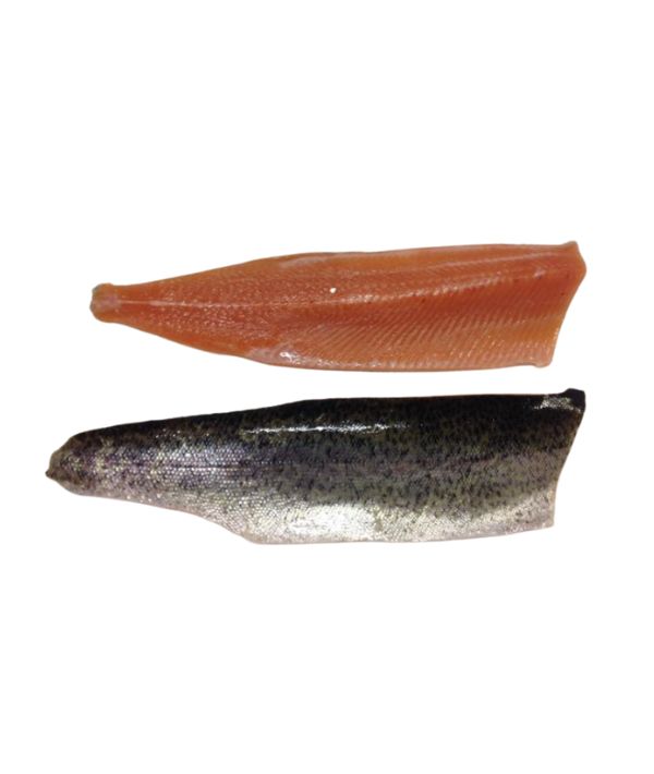 TROTA IRIDEA SALMONATA FILETTO GR 150/220 IQF ARMANINI KG 5