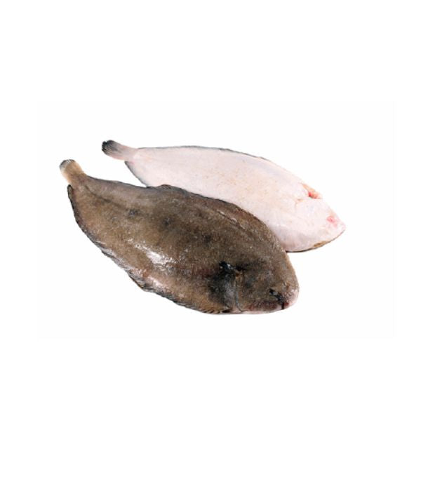 SOGLIOLA 3L FAO 27 EVISCERATO g 300/350 CON PELLE g 4000
