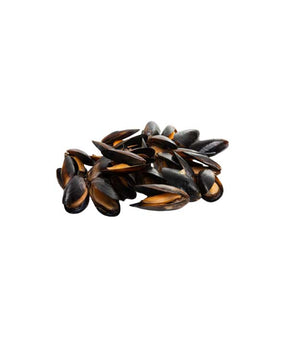 COZZA CILE INTERA PRECOTTA PZ 50/70 SOTTOVUOTO PESO VERO KG 1