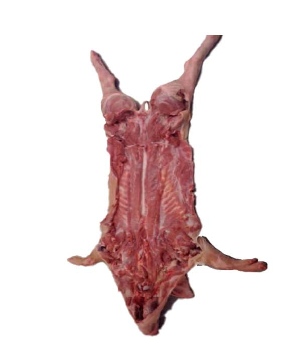 MAIALINO DISOSSATO CON TESTA E COTENNA SOTTOVUOTO BECK KG 14