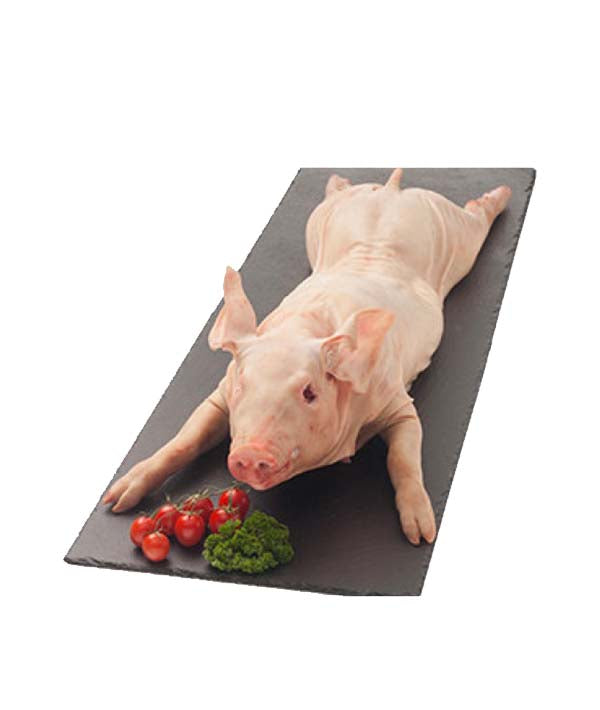 MAIALINO CON OSSO E COTENNA BECK KG 12