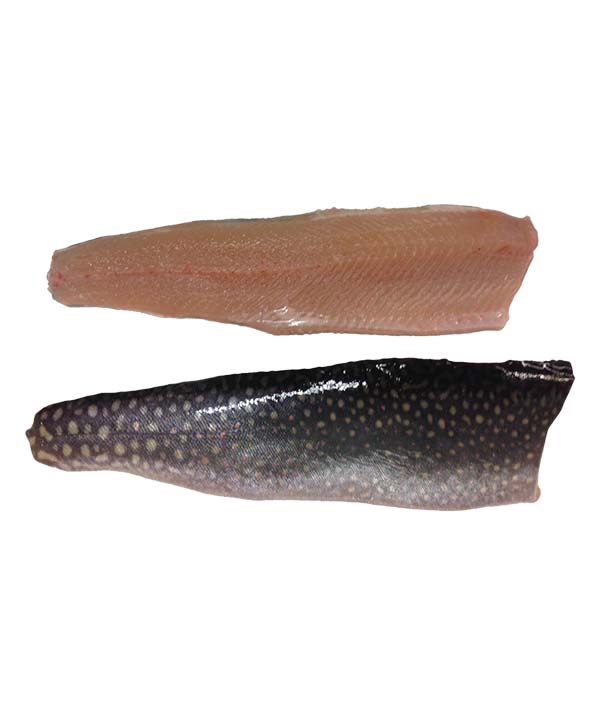 FILETTO DI SALMERINO ALPINO CON PELLE g 180/220 IQF g 3000