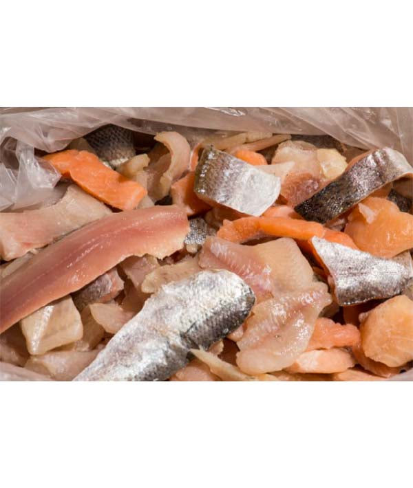 FRITTO MISTO DI LAGO IQF ARMANINI KG 4