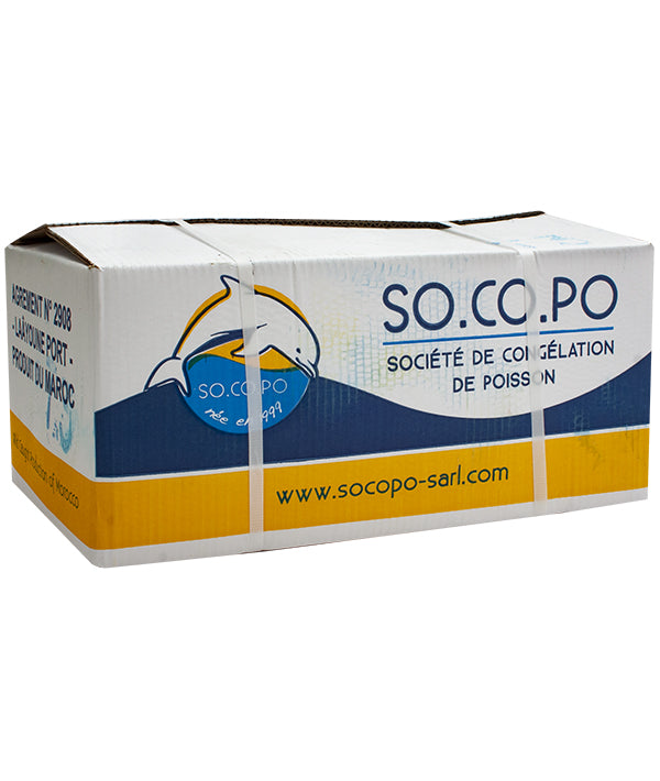 POLPO T3 MAROCCO g 2000/3000 IQF SO.CO.PO. KG 12