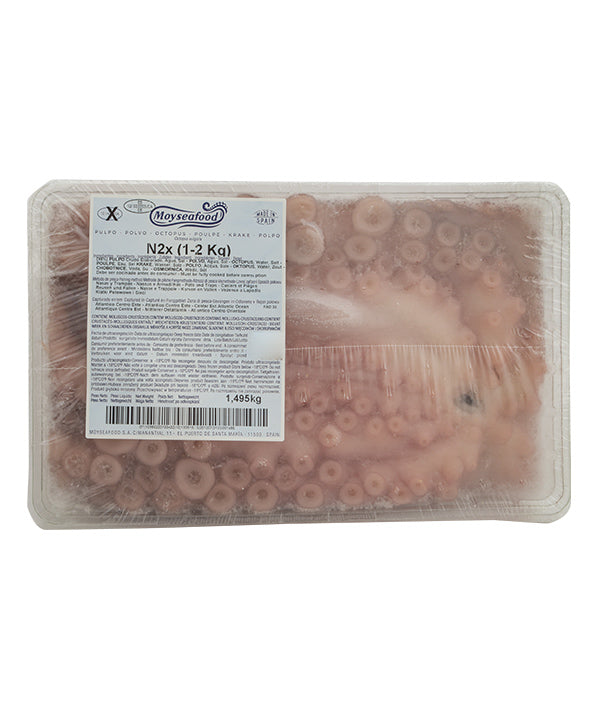 POLPO N°2X MAROCCO 1000/2000g VASCHETTA MOYSEAFOOD KG 1,5