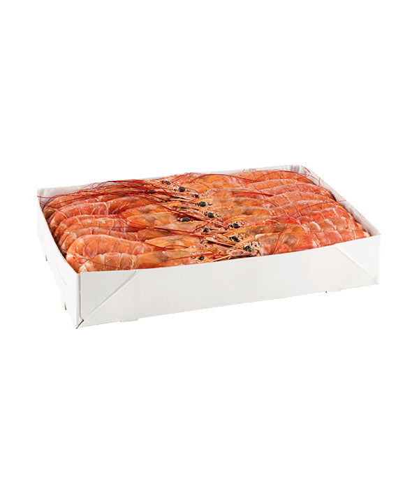 GAMBERO ARGENTINO INTERO L2 CONGELATO A BORDO PZ 21/30 
LANZAL KG 2
