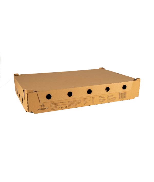 PANINO BURGER CON SESAMO GR 71 PRETAGLIATO AGRITECH PZ 15