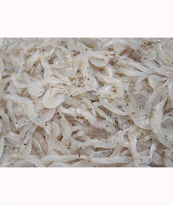 GAMBERO INTERO BIANCO FAO 37 GR 500