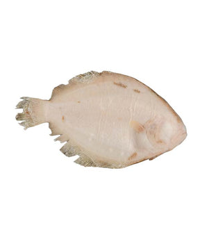 SOASO INTERO FAO 27 EVISCERATO GR 200/400 IQF KG 4