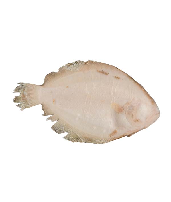 SOASO INTERO FAO 27 EVISCERATO GR 200/400 IQF KG 4