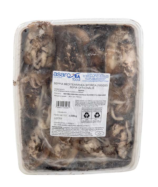 SEPPIA SPORCA TUNISIA FAO 37 VASCHETTA GR 100/200 KG 3