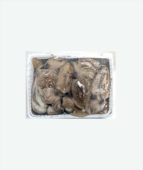 SEPPIA SPORCA TUNISIA FAO 37 VASCHETTA GR 100/200 KG 3