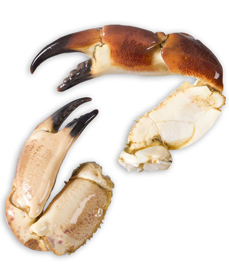 CHELE GRANCIPORRO PRECOTTO PZ 20/30 kg 1