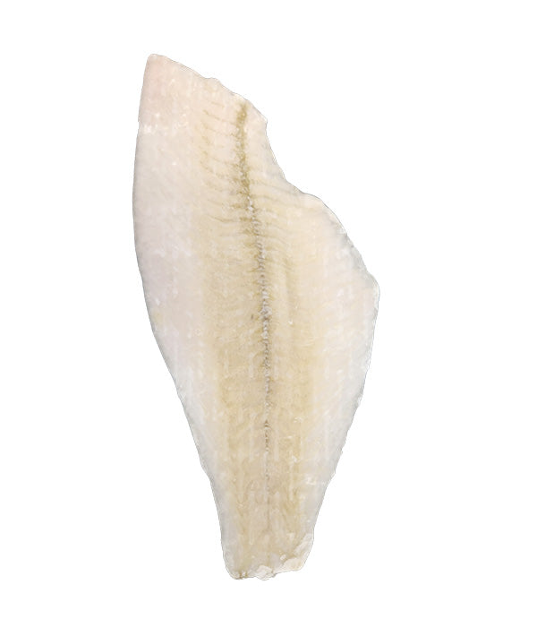 LIMANDA FILETTO PACIFICO FAO 67 SENZA PELLE GR 70/120 IQF KG 4