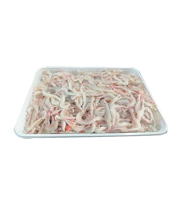 GAMBERETTO ROSA FAO 37 KG 1